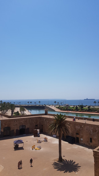 Palma Cathedral