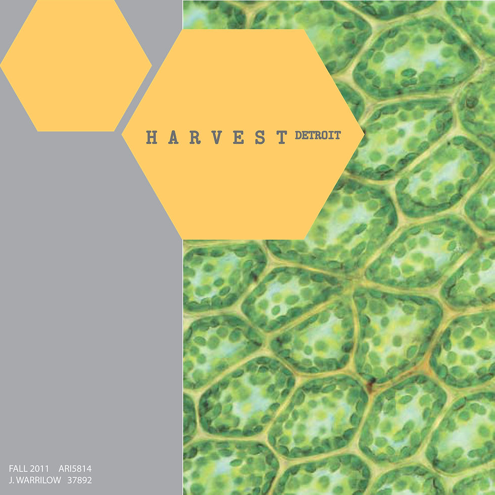 Harvest Detroit - Master Arch Studio
