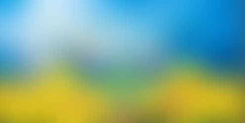 РІК НЕЗЛАМНОСТІ