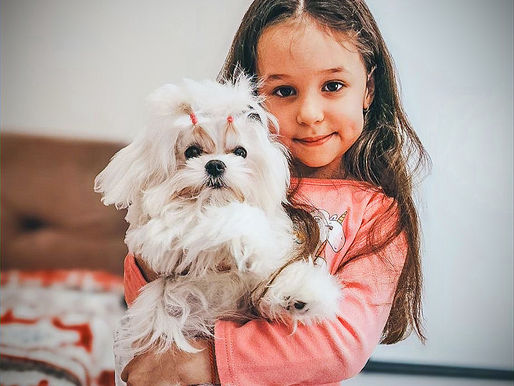 Добро починається з турботи 🐾