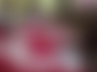 Тиждень математики, фізики та інформатики