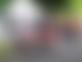 Lurgan Park Rally success for Garry Jennings