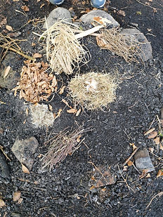 WhatsApp Image 2026-03-23 at 17.48.32.jpeg