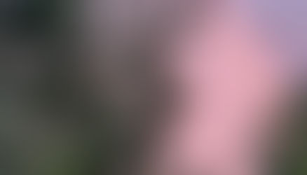 La rentrée approche