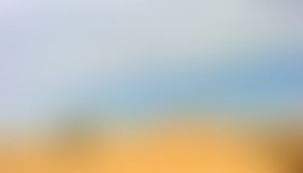 Honorer la transmission, reconnaître et chérir les racines de ce que nous avons reçu.