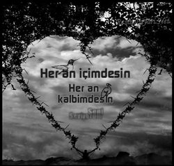 aşksözleriresimli