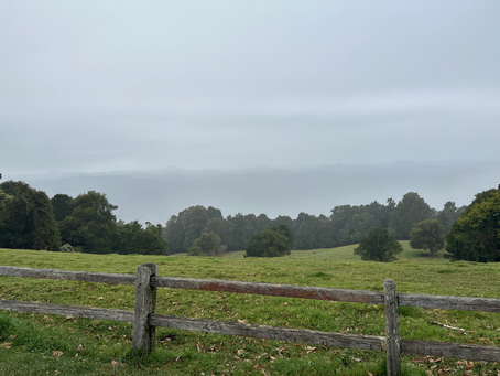 Misty Mountain Morning