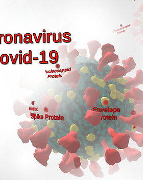 Covid 19 Coronavirus Structure VR