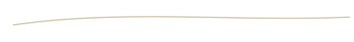 vectorline-06.png