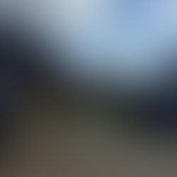 HB Oak Frames at Goodwood Revival 2025