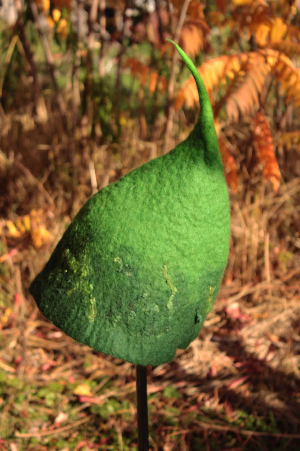 Miniatura: pixie ombre zielony loczek