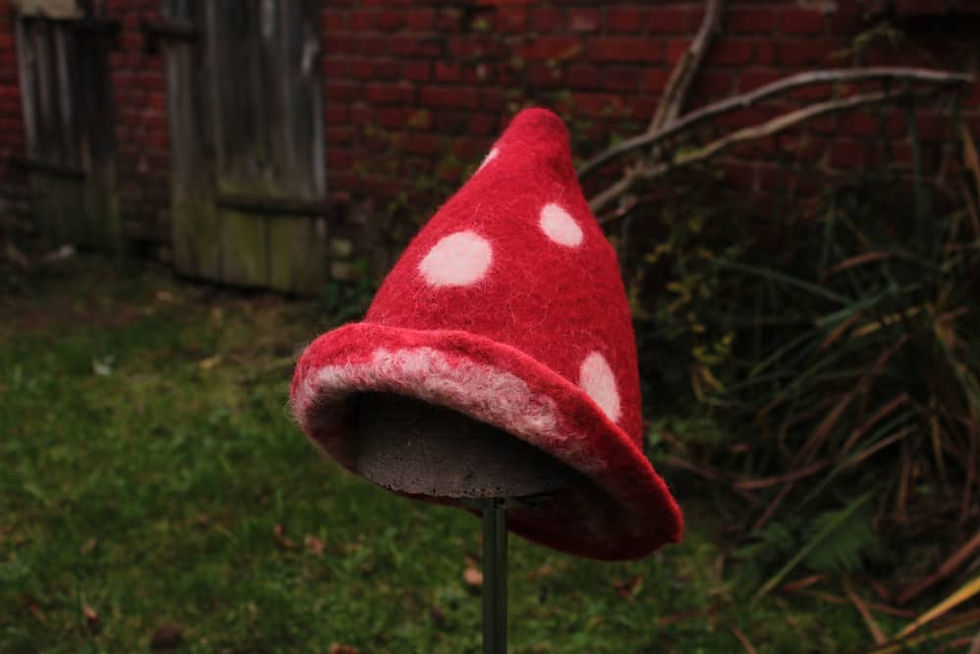 Miniatura: mała amanita
