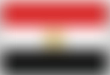 Rule Of Law And Judicial Reform: A Project For Egypt