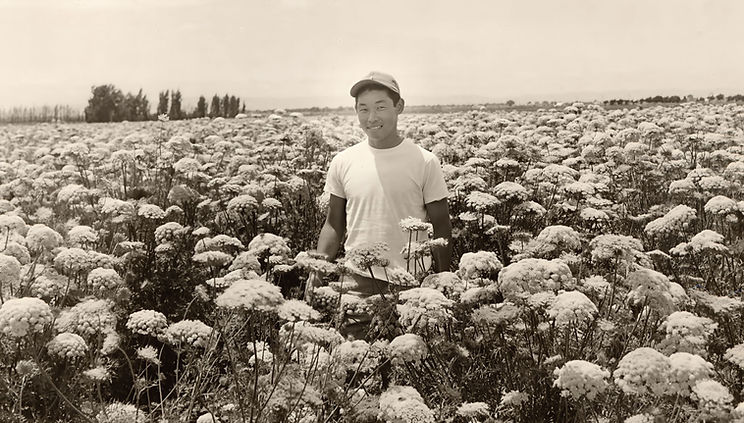 Harold_Hiromoto.jpg