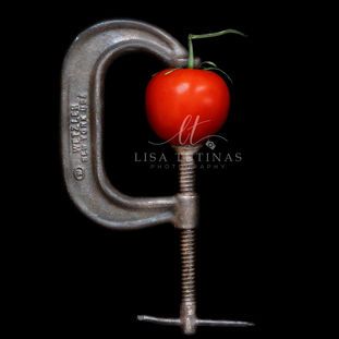 18x24-Tomato-C-Clamp-5.jpg