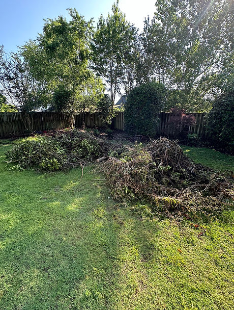 yard d.jpg