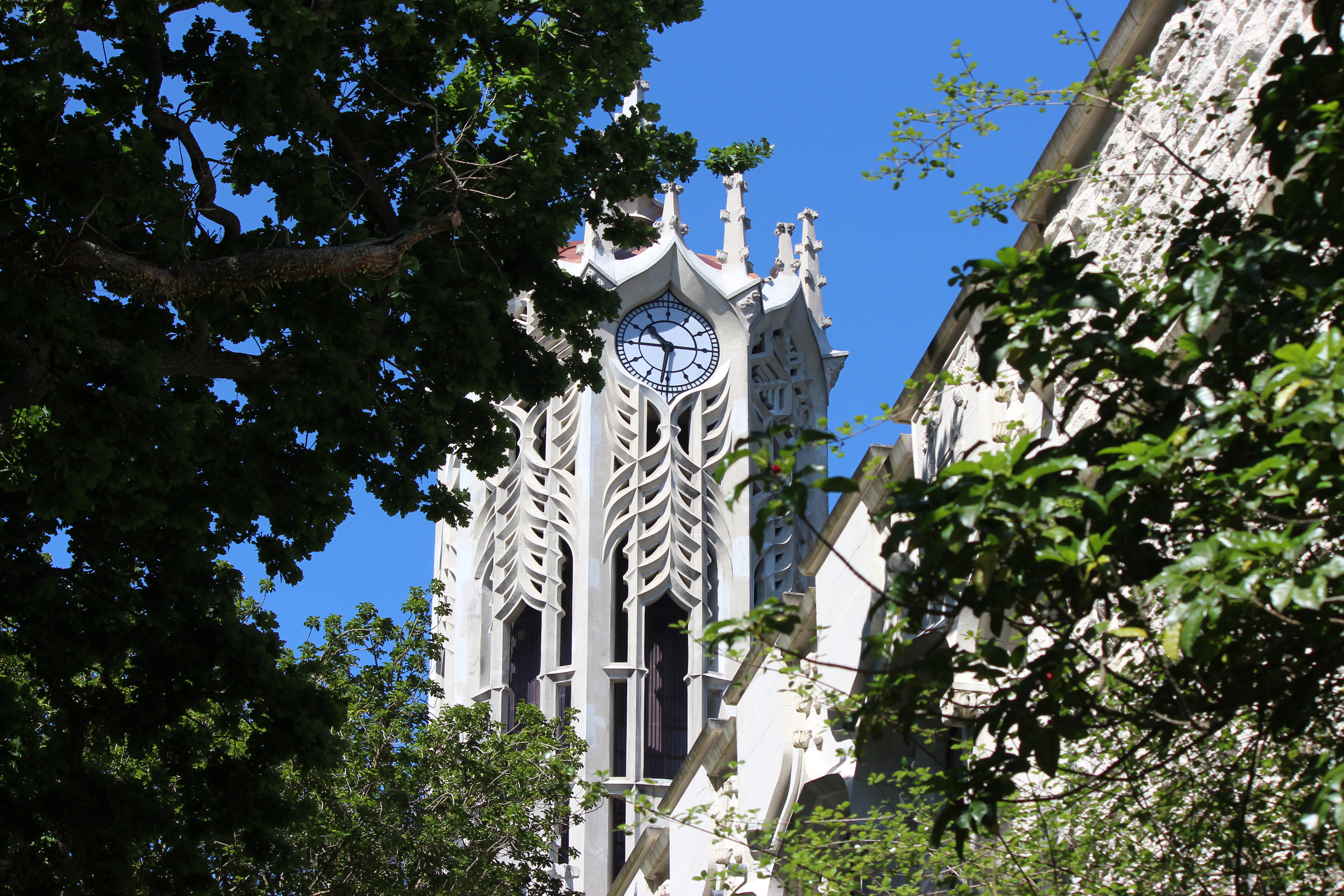 University reference · University of Auckland