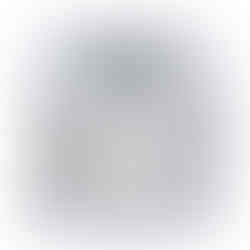 Skintensive® Bakuchiol + Retinol Dual Renewal PM Cream - MCK-1267986_in.jpg