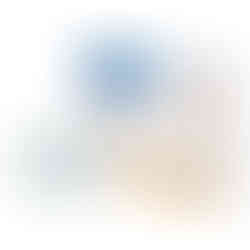 Zetuvit® Plus Silicone Border Super Absorbent Dressing, 5 x 6 Inch Oval - MCK-1235833_ppkgright.jpg