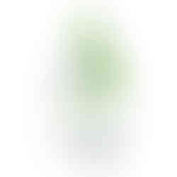 CeraVe® Daily Moisturizing Lotion, 12 oz. - MCK-1218921_front.jpg