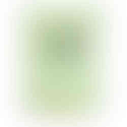 McKesson Antimicrobial Lotion Soap, Herbal Scent, 800 mL, Dispenser Refill Bag - MCK-510349_front.jpg