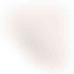 Sorbalgon® Alginate Dressing, 4 x 4 Inch - MCK-473914_pdet.jpg