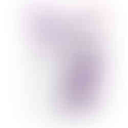 ConvaFoam™ Border Silicone Adhesive Foam Dressing, 8 x 8 Centimeter - MCK-1224512_pkgleft.jpg