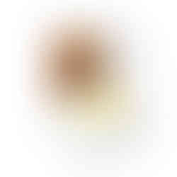 E-Z Scrub™ Povidone Iodine Impregnated Brush, Brown - MCK-227740_pdet.jpg