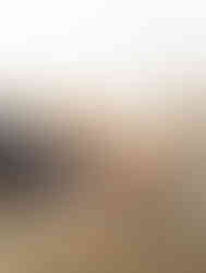 Wound Contact Layer Dressing Cuticell® Contact® 3 X 4 Inch Sterile - MCK-1020453_2.jpg
