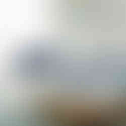 Curity™ Oil Emulsion Impregnated Dressing, 3 x 8 Inch - MCK-215607_ls.jpg