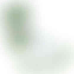 Toothette® Short Term Swab System - MCK-144405_ppkgleft.jpg