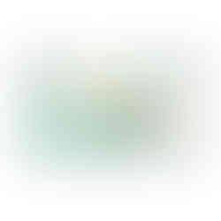 Absorbent Acrylic Transparent Film Dressing 3M™ Tegaderm™ Absorbent 4-3/8 X 5 Inch Frame Style Delivery Oval Sterile - MCK-1220168_front.jpg