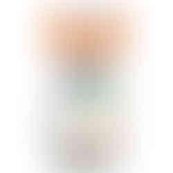 Peptamen® with Prebio 1™ Vanilla Peptide-Based Formula, 250 mL Carton - MCK-746883_front.jpg