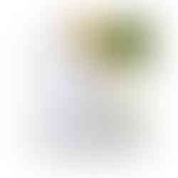 Neutrogena® Moisturizer - MCK-257699_ls.jpg