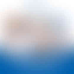 seal tight® Dressing Protector, Medium - MCK-841120_mktg5.jpg