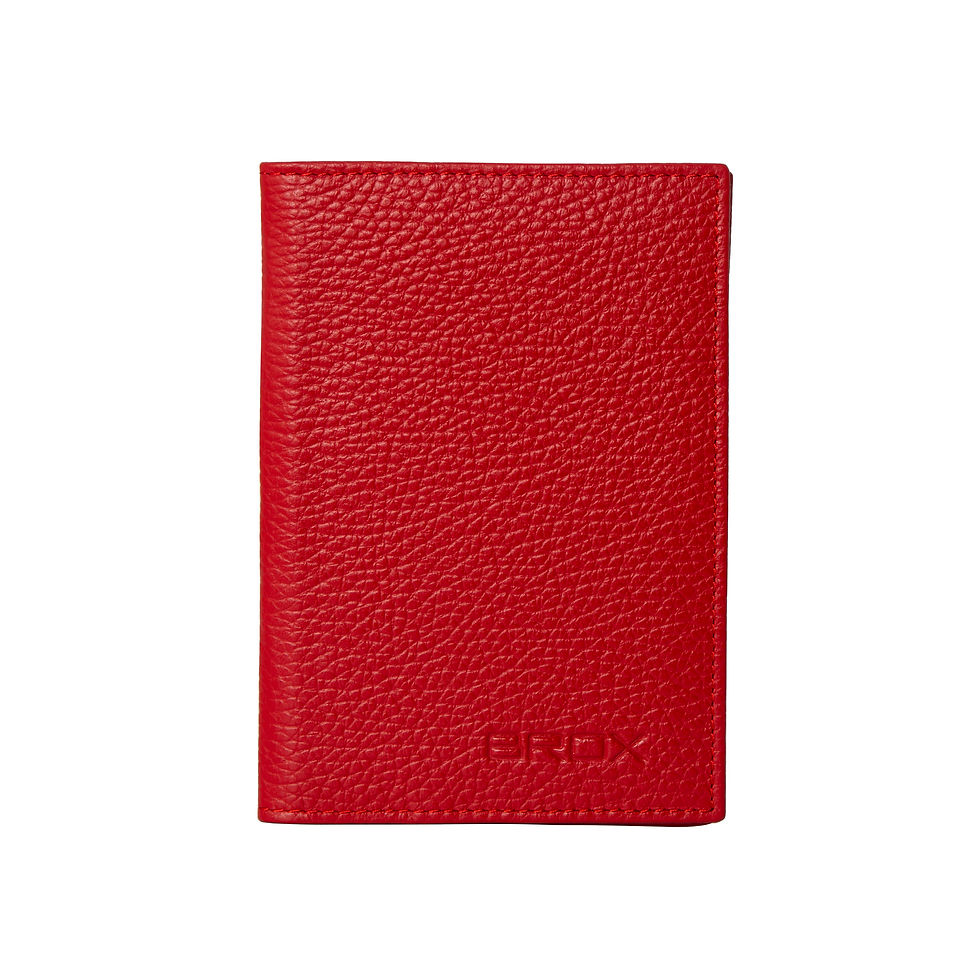 Thumbnail: Passport Holder