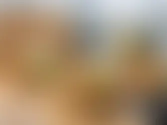 Obrok salate dostava Beograd - šta vredi poručiti