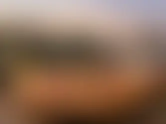 Ukusi pice koje Beograd najčešće bira