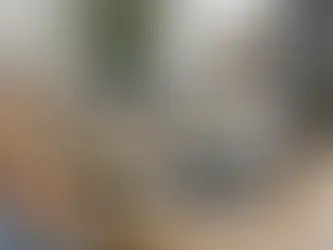 Online poručivanje bez čekanja i lutanja