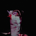lunar.png