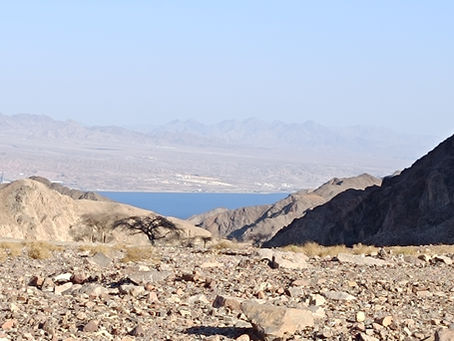 טיולי ג'יפים באילת והרי אדום