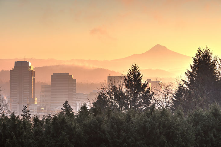 Portland fog mountain_z.jpeg