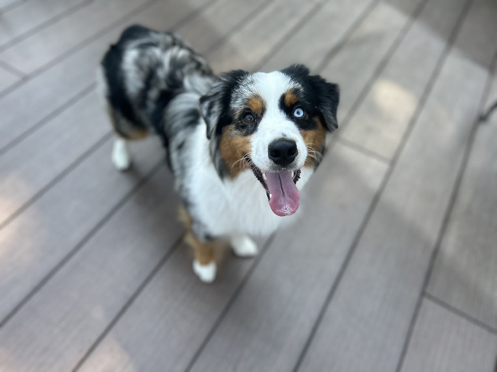 Understanding Time Windows vs Exact Time