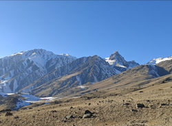 WhatsApp Image 2025-02-01 at 15.37.58_4031c4f2