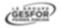 Gesfor.png
