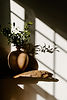 warm light.jpg