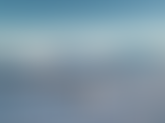 Best Time to Visit Antarctica