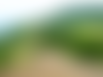 How to Reach Saputara from Mumbai