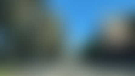 Best Time to Visit Texas Panhandle