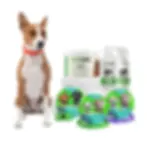 Homepage_5_1.webp